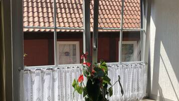 Classic Double Room | View from room