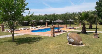 House overlooking the pool, ideal for families.