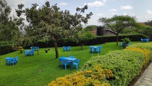 A well-maintained outdoor area with neatly arranged blue tables and chairs, surrounded by lush greenery and a variety of plants. - Casa Tulia Nakuru (Nakuru)