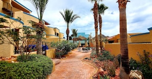 Terrace/patio - 50 Steps to Sandy Beach! Relax at this Seaside Getaway close to downtown. (San Felipe)