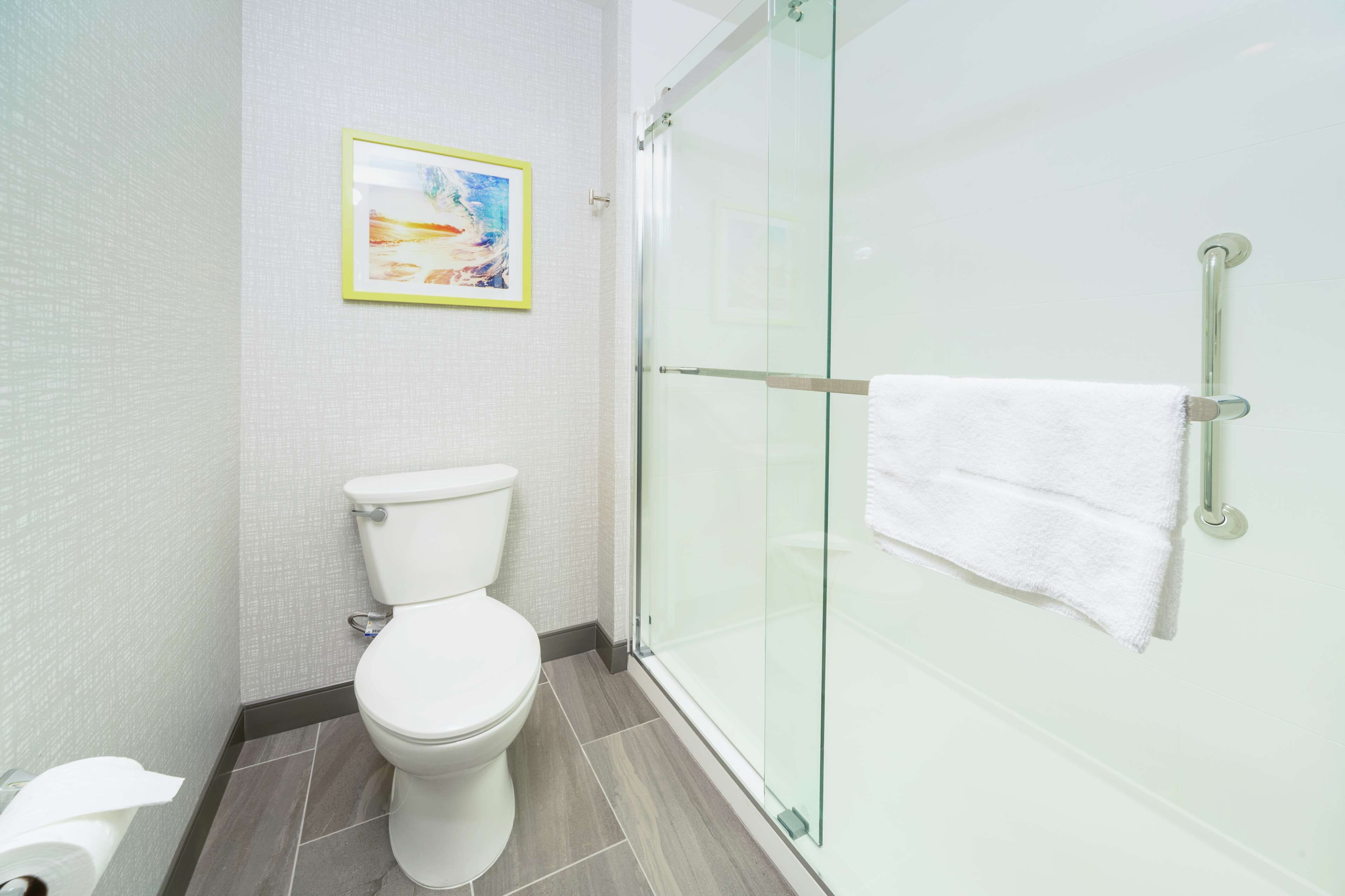 combined shower/bathtub, free toiletries, hair dryer, towels