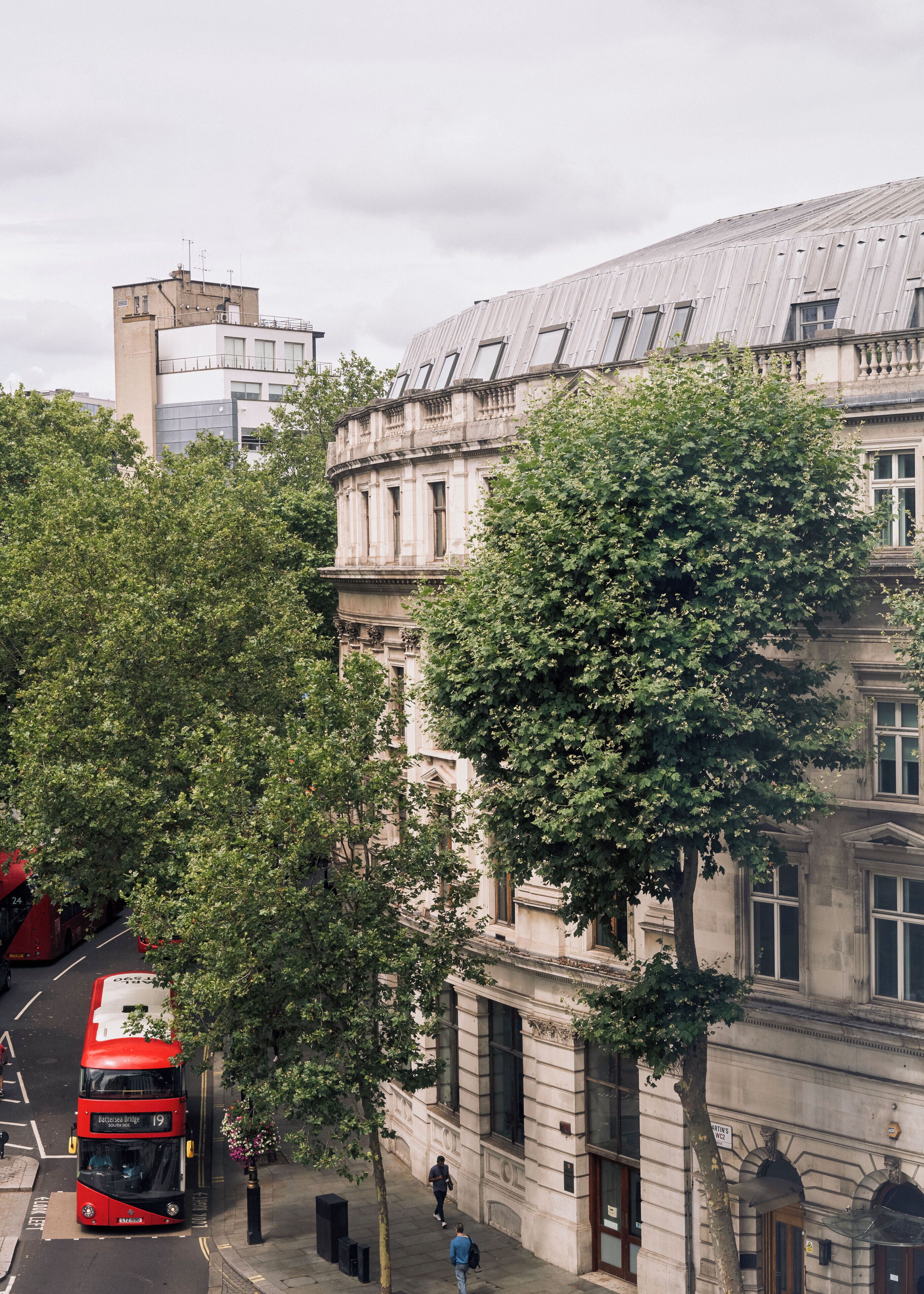 A red double-decker bus on a city street, a historic building with large windows, and a tree in the foreground.
