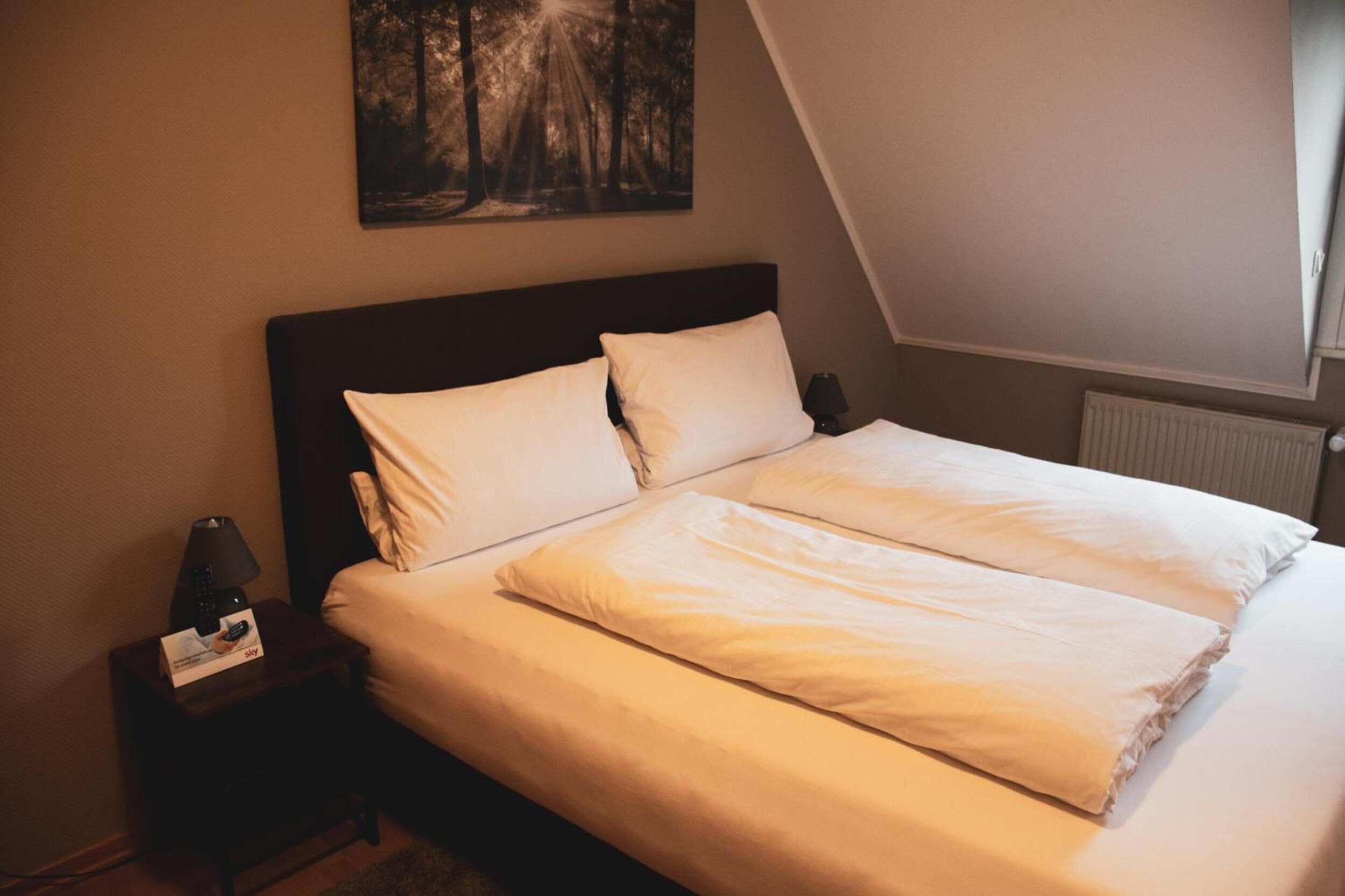 desk, free wifi, bed sheets