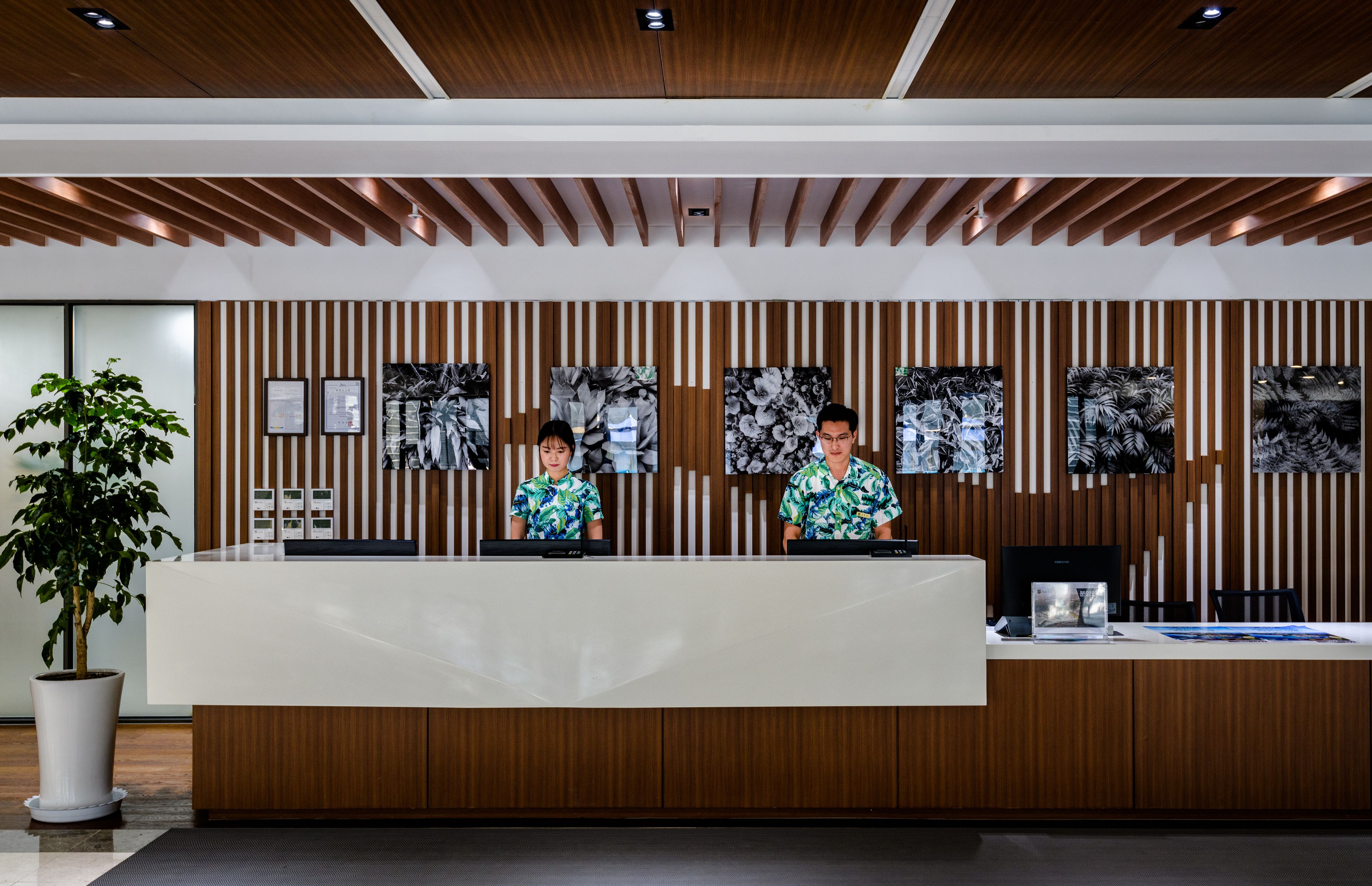 A reception desk with a wooden panel backdrop, framed artwork, and a potted plant.