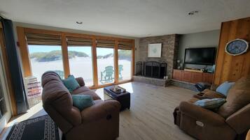 Smart TV, fireplace, DVD player, books