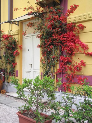 A building with a yellow facade, a white door, and red flowers climbing the wall. - Bella addormentata e il principe Calaf (Lucca)
