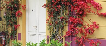 Bella addormentata e il principe Calaf