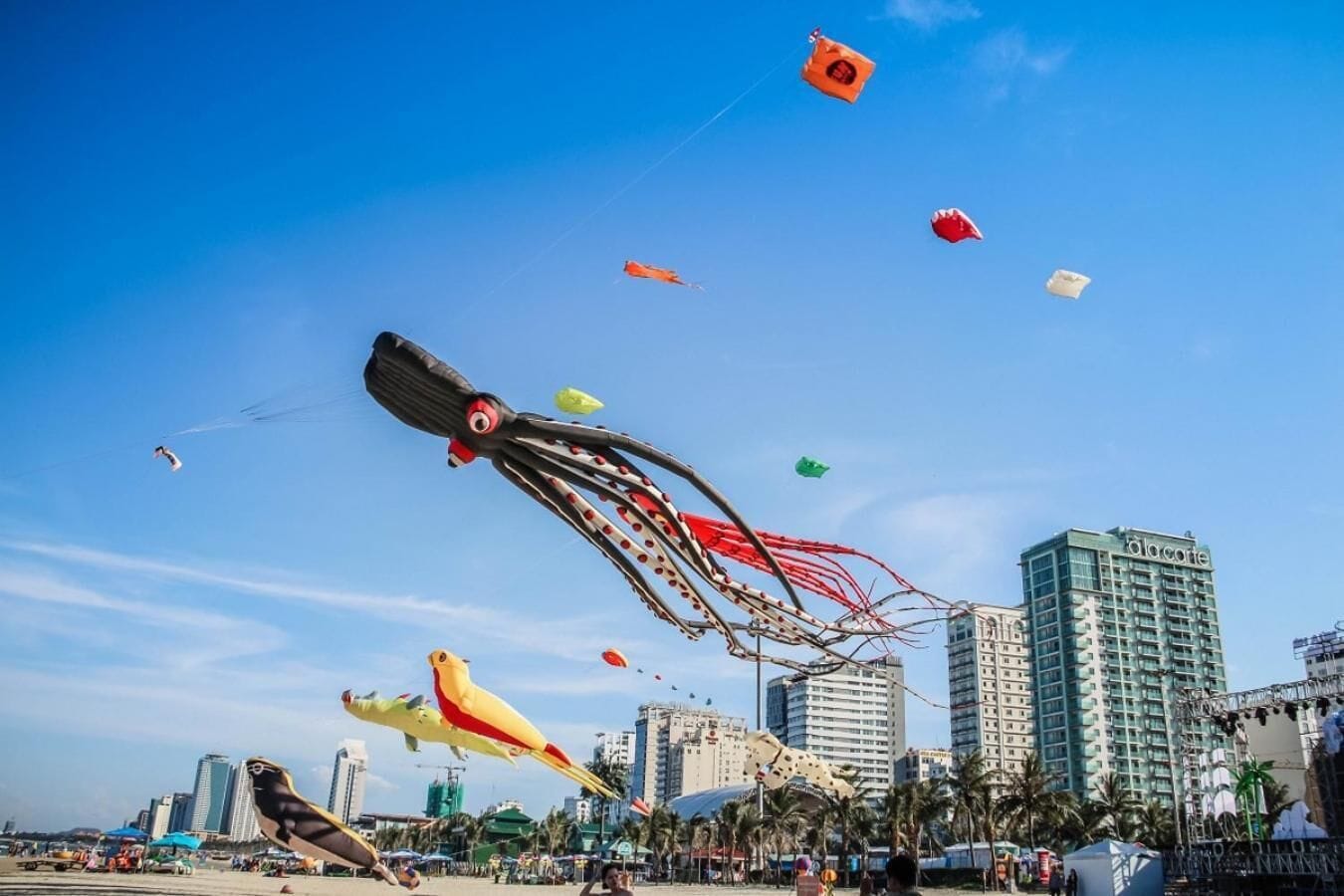 A beach with various kites flying, palm trees, and a city skyline in the background.