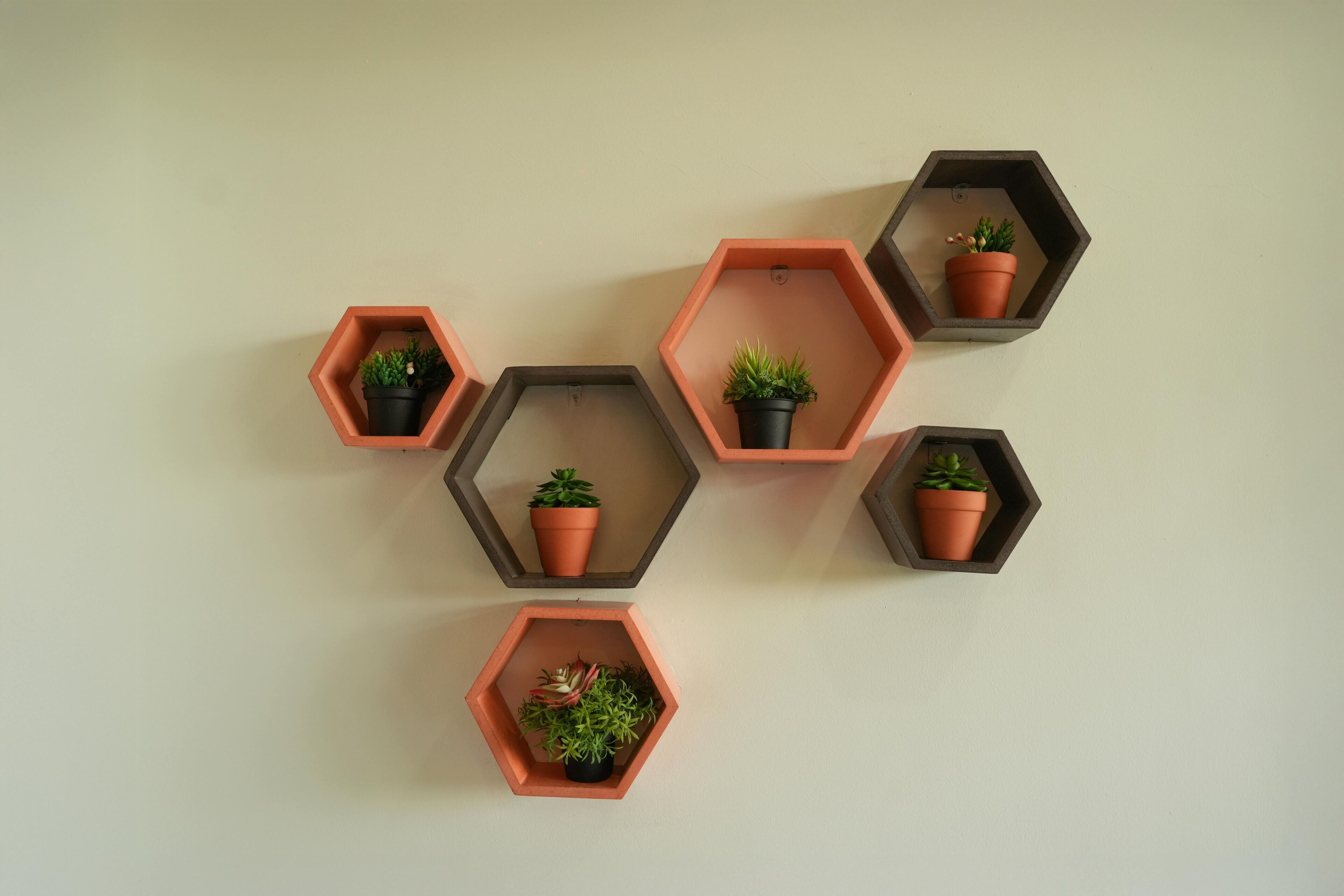 A wall with six hexagonal planters of varying sizes, each containing different types of plants.