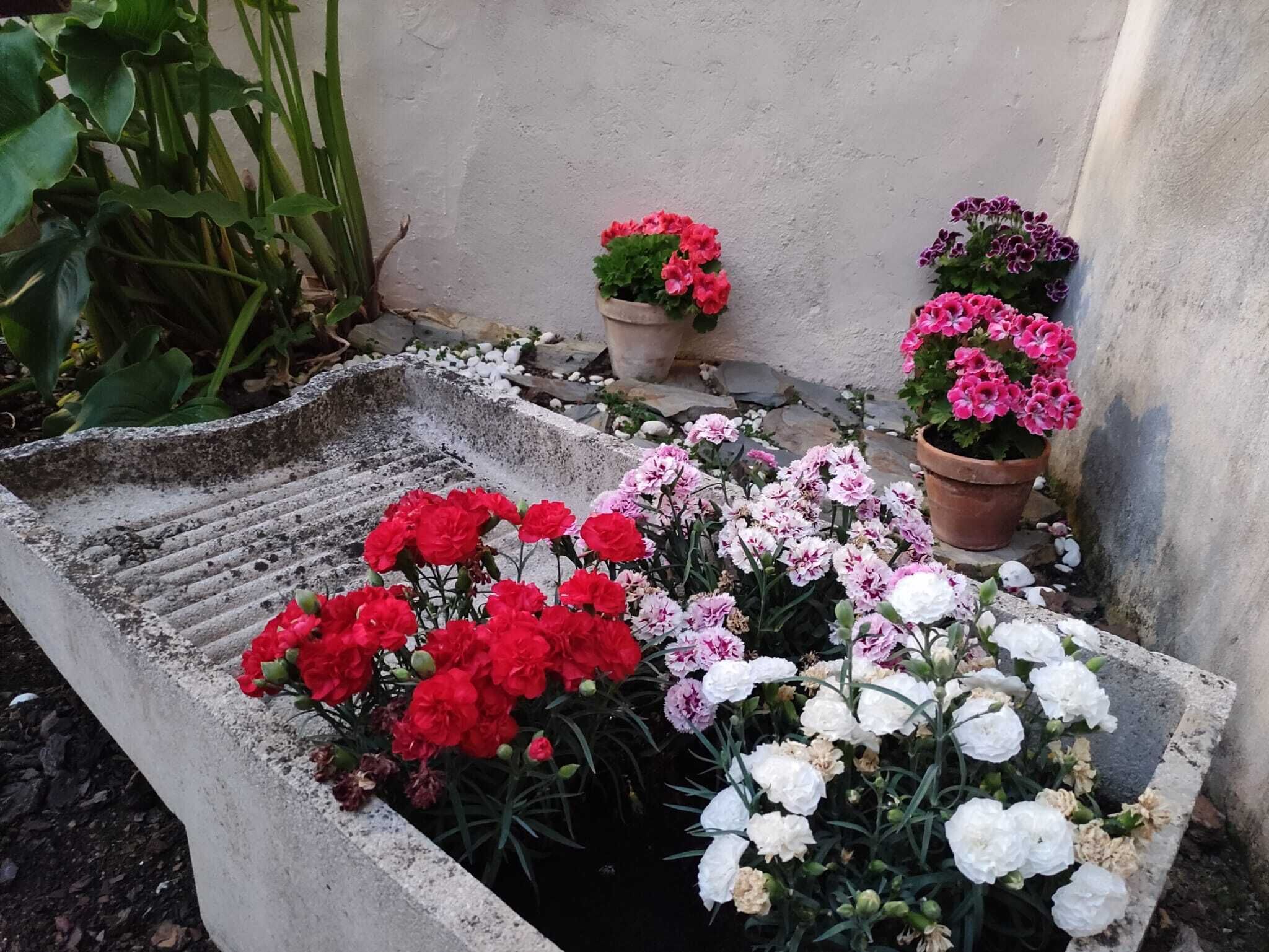 庭園