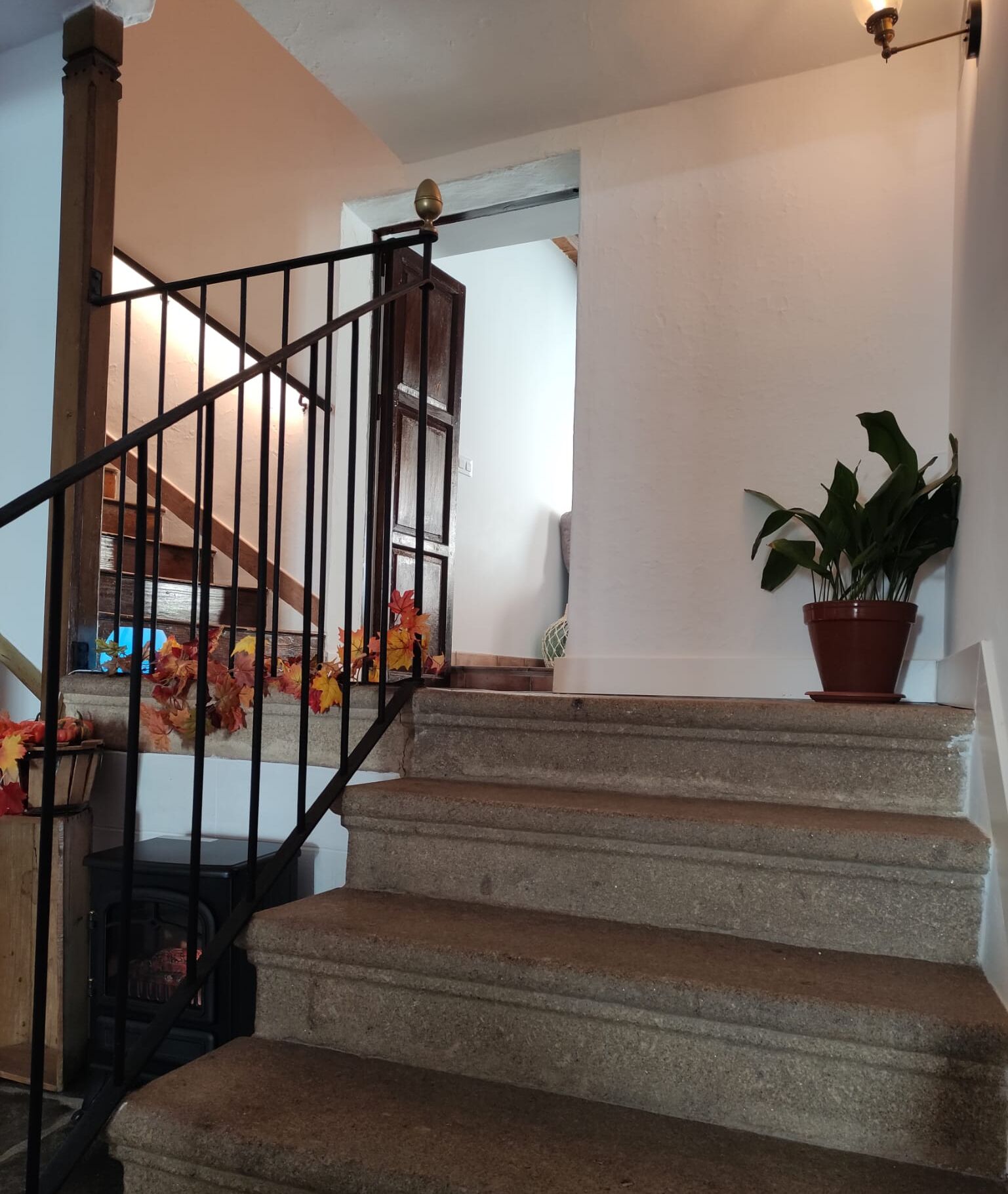 A staircase with a wooden handrail and a potted plant on the landing.
