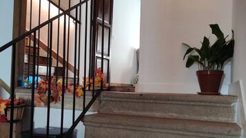 A staircase with a wooden handrail and a potted plant on the landing.