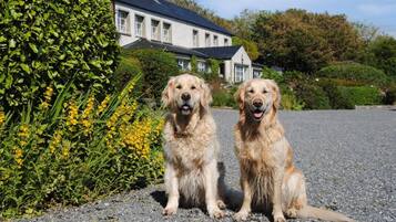 Terrein van de accommodatie