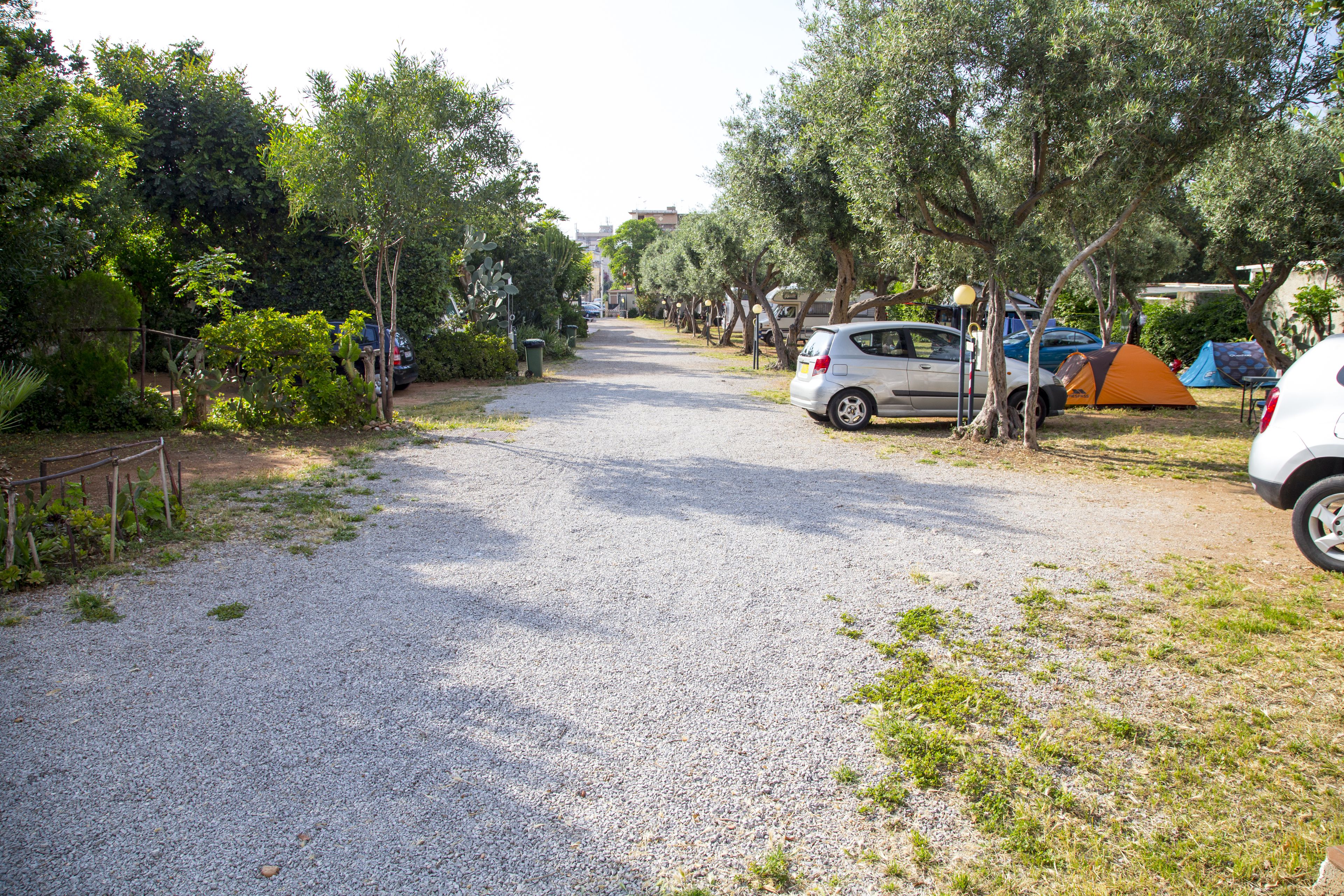 Free self-parking