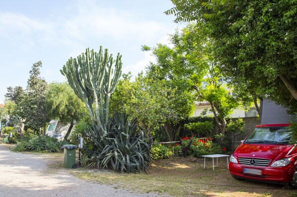 A red car parked on a gravel driveway with a cactus and various plants in the background. - Camping Degli Ulivi (Palermo)