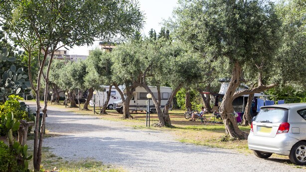 A campsite with RVs, a car, and trees.