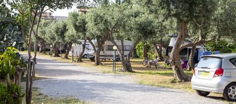 Camping Degli Ulivi