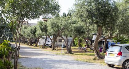 Camping Degli Ulivi