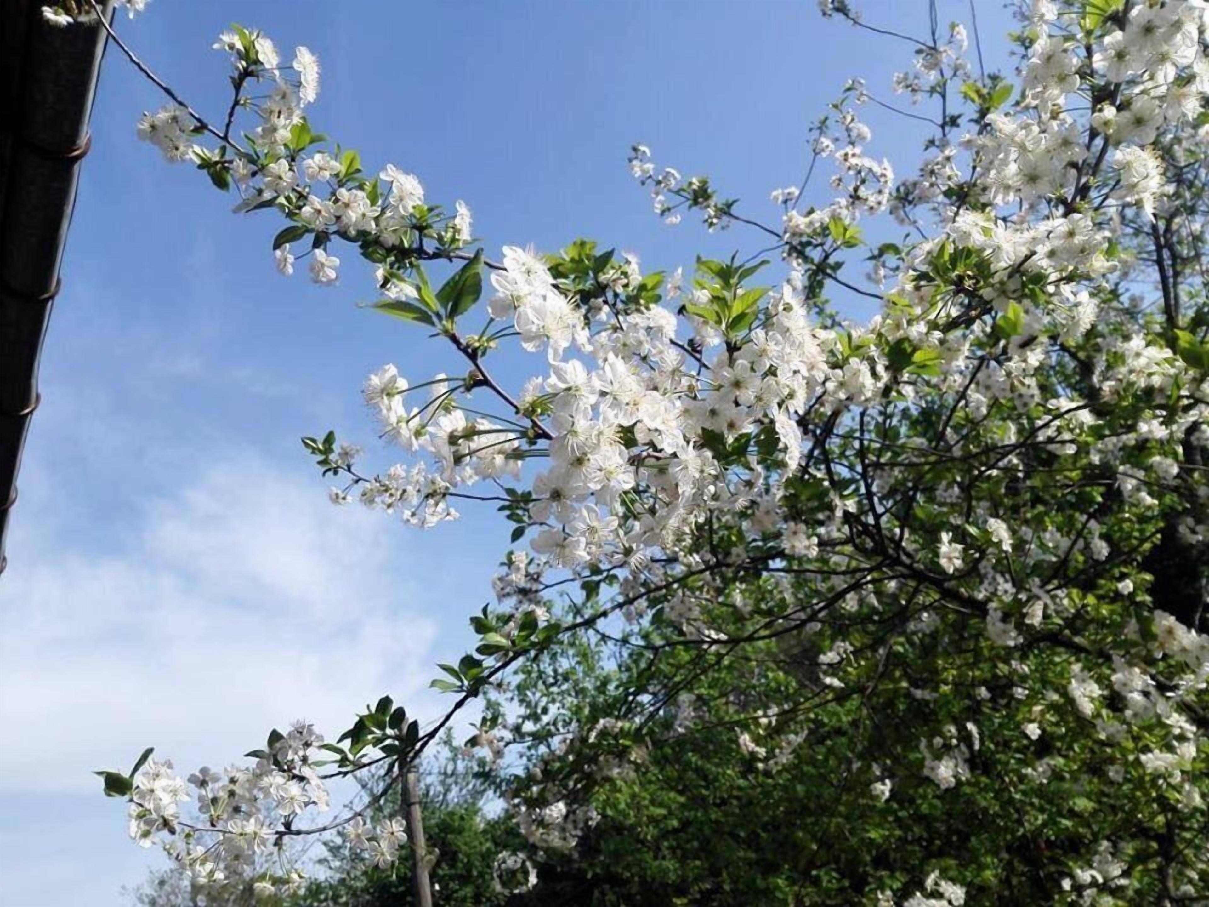 Photo - Mimino Guest House