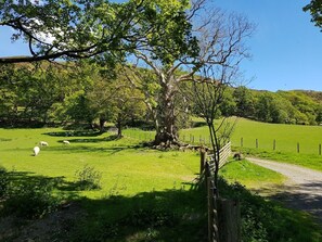 Hiking