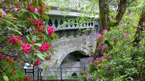 Een stenen brug met een boog, omringd door weelderige begroeiing en roze bloemen.