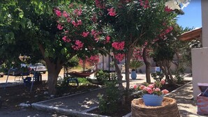 Un espace jardin aménagé avec des arbres, un hamac et un petit coin salon.