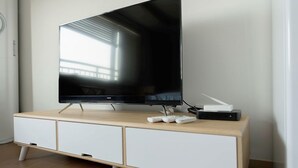 Fernseher