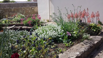 Un jardín con diversas plantas y flores, un muro de piedra y un borde de hormigón.