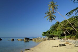 Serviettes de plage