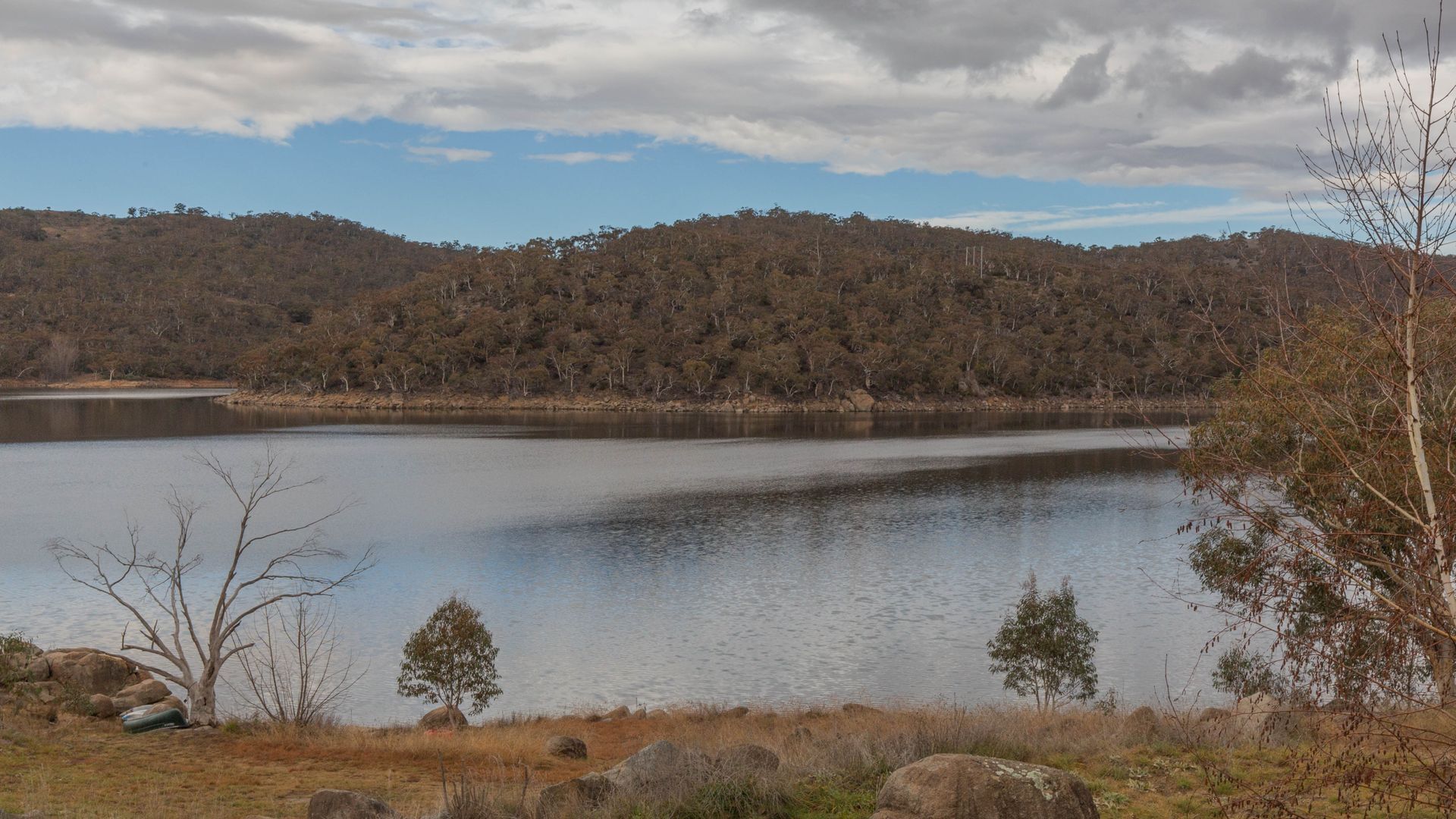 Ingellara - 1/49 Townsend Street — image 2