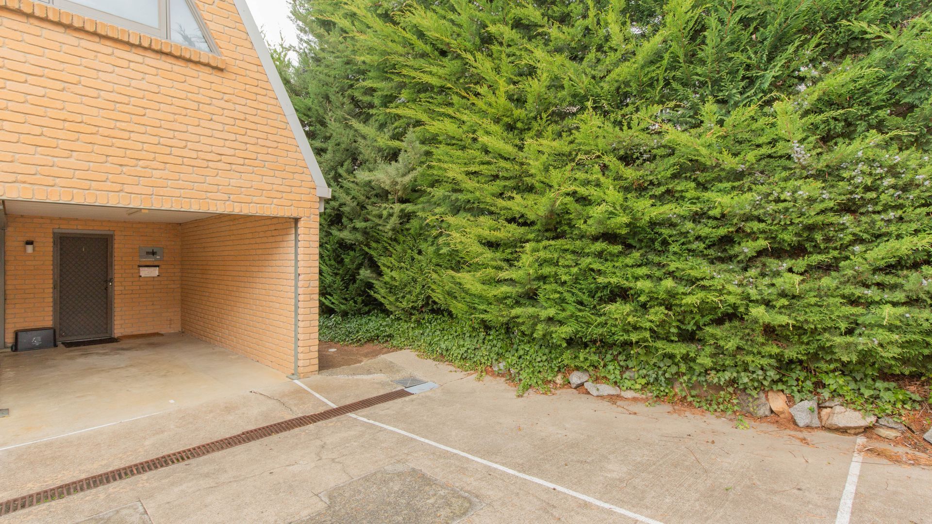 Ingellara - 1/49 Townsend Street — image 5