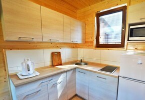 Fridge, microwave, stovetop, electric kettle