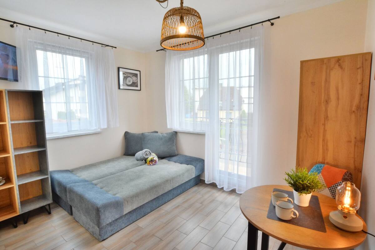 Ein gemütliches Zimmer mit Schlafsofa, einem kleinen Tisch mit Pflanze und Lampe sowie einem Bücherregal.