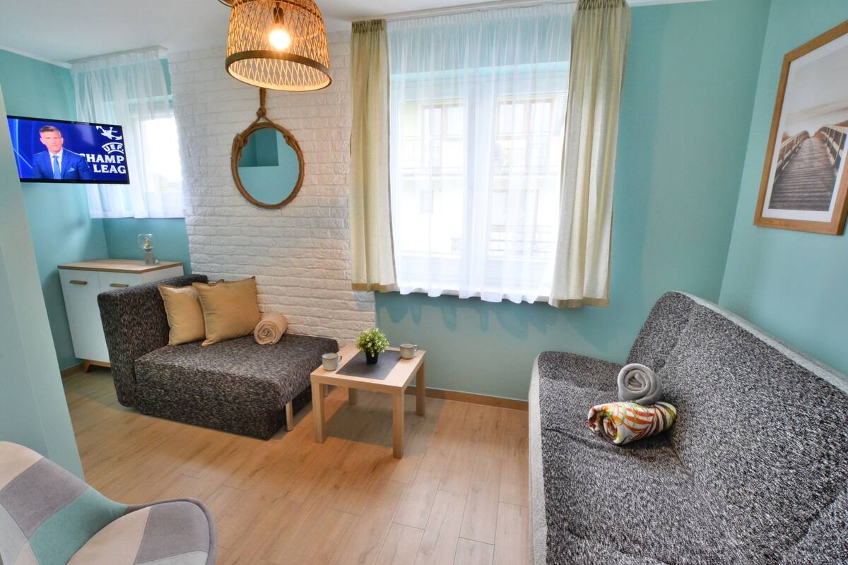 Ein Wohnzimmer mit einem Fernseher, der 'HAMP LEAG' zeigt, einer Couch, einem kleinen Sofa, einem Tisch mit einer Pflanze und einem Fenster mit Vorhängen.
