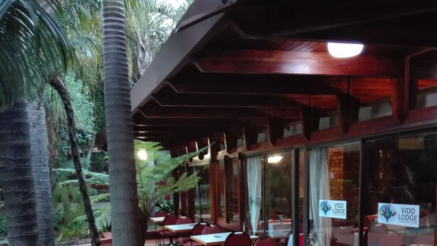 Un espace de restauration en plein air, avec des tables et des chaises, entouré de palmiers et bordé d’un chemin en briques.