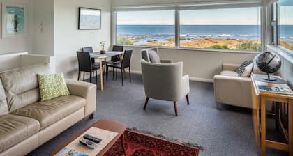 Toodle's Discover NZ's best-kept secret, on Island Bay