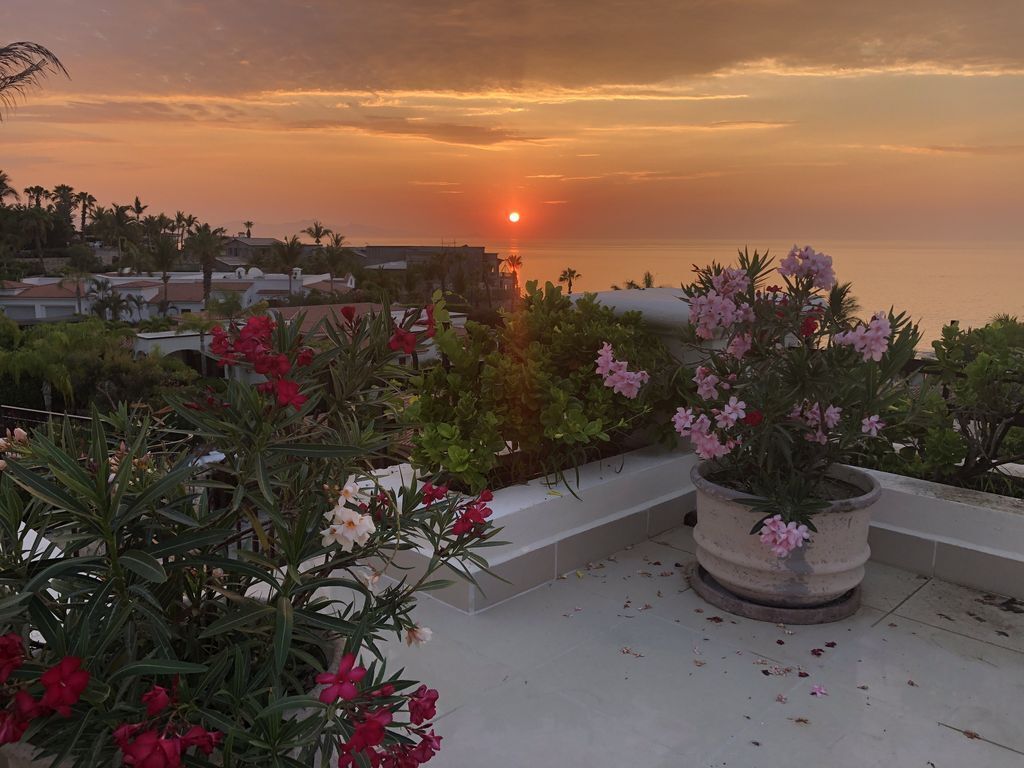 Sonnenuntergangblick von einem Balkon mit Blumentöpfen und einer entfernten Stadtansicht.