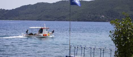 A boat on a lake with a dock and a flag.