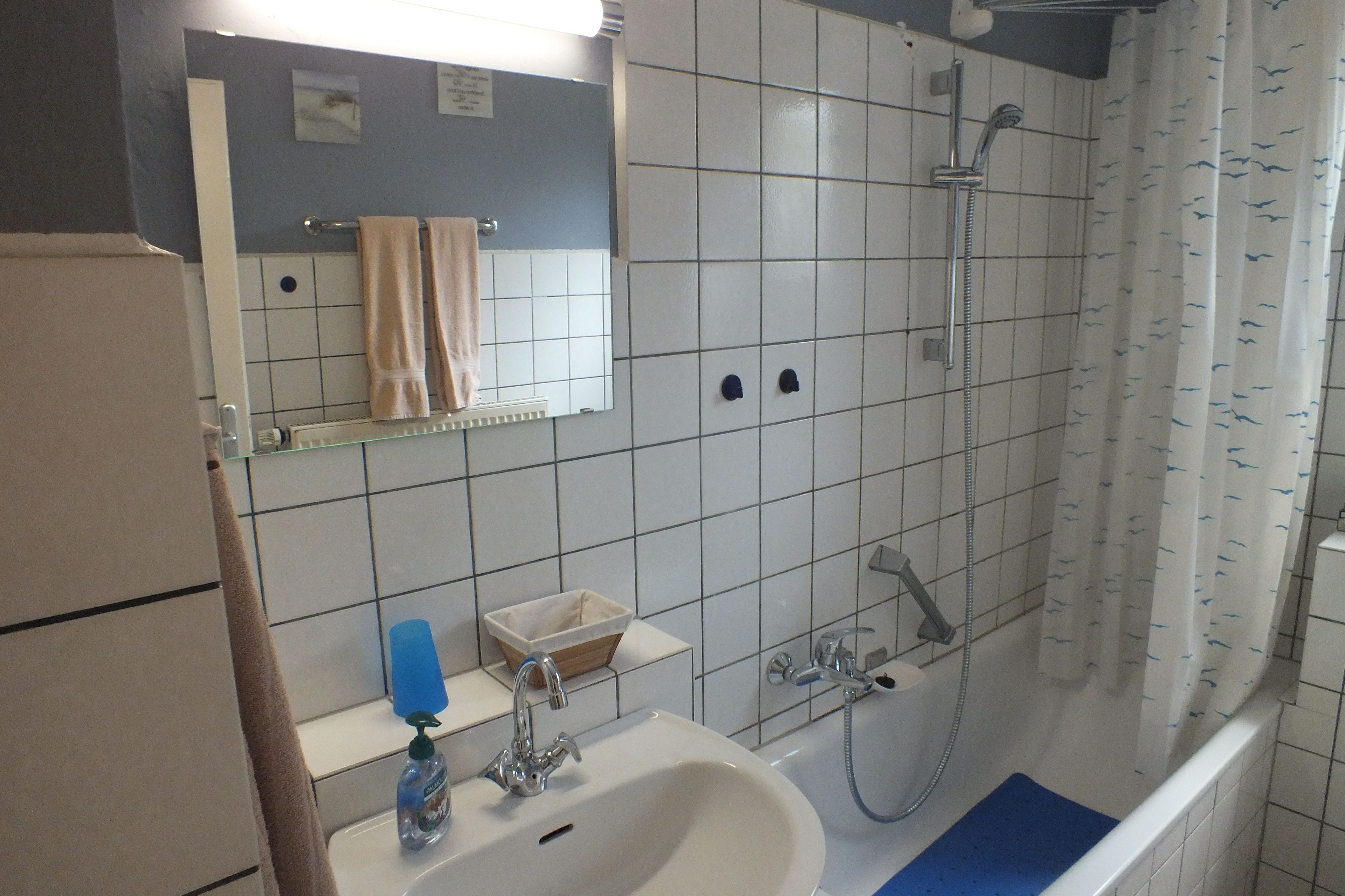 Basic-Apartment | Badezimmer | Duschwanne, Haartrockner, Handtücher