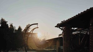 Una piscina con flores de loto, un edificio de ladrillo y una puesta de sol al fondo.