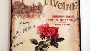 Ein Buchumschlag im Vintage-Stil mit dem Titel "PRINCESSE MARGAUX PIVOINE" und dem Jahr "1898".