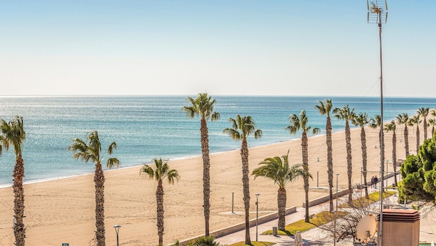 A beach with palm trees and a clear view of the ocean.