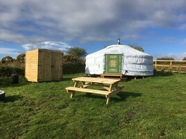 Una yurta con puerta verde, un cobertizo de madera y una mesa de picnic en un campo cubierto de hierba.