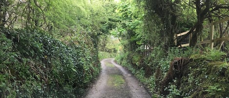 EntrĂ©e de lâhĂ©bergement