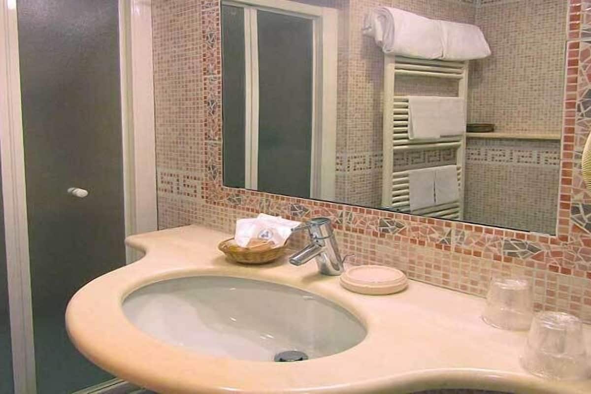 shower, free toiletries, hair dryer, bidet