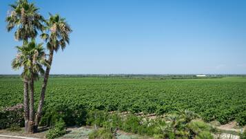 Double or Twin Room | Balcony