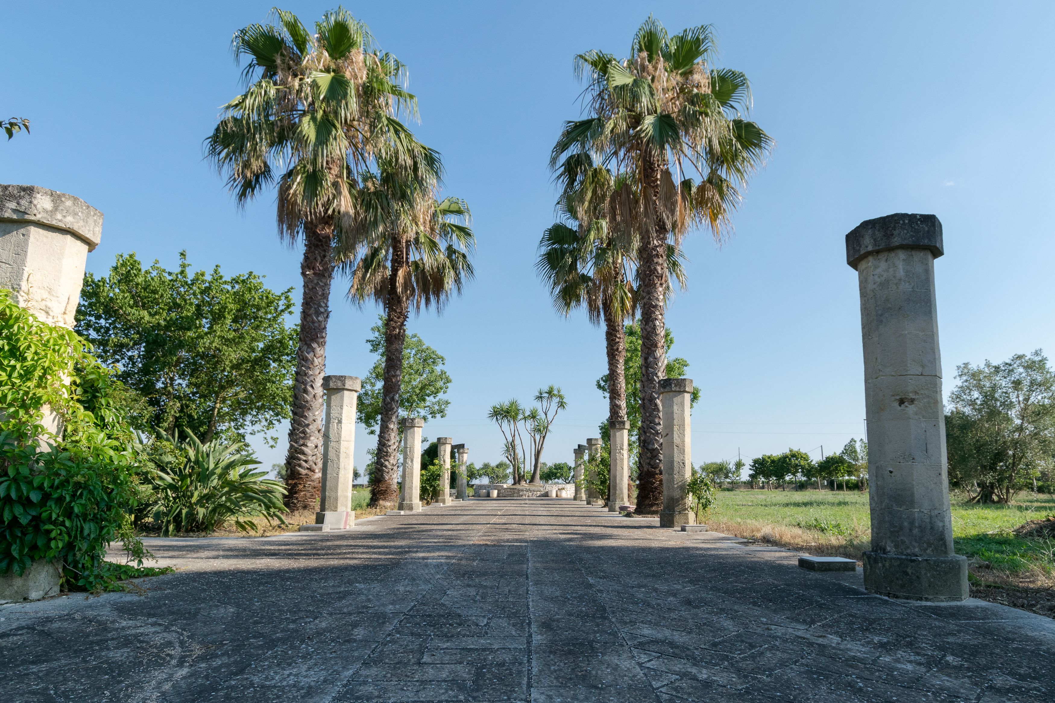 Un camino bordeado por palmeras y columnas de piedra que conduce a una construcción distante.