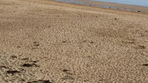A sandy beach with a rocky outcrop and a small building on top. - Mandeley Guest House (Helston)