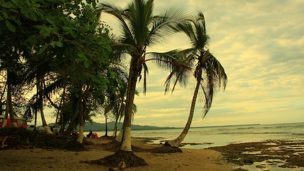 Unclassified image, 1 of 10, button - Los Delfines Lodge (Cahuita)