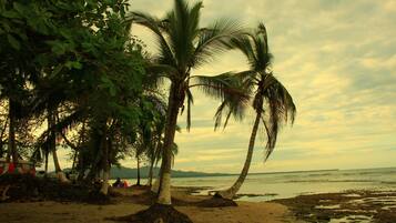 Family Bungalow | Pemandangan pantai/laut